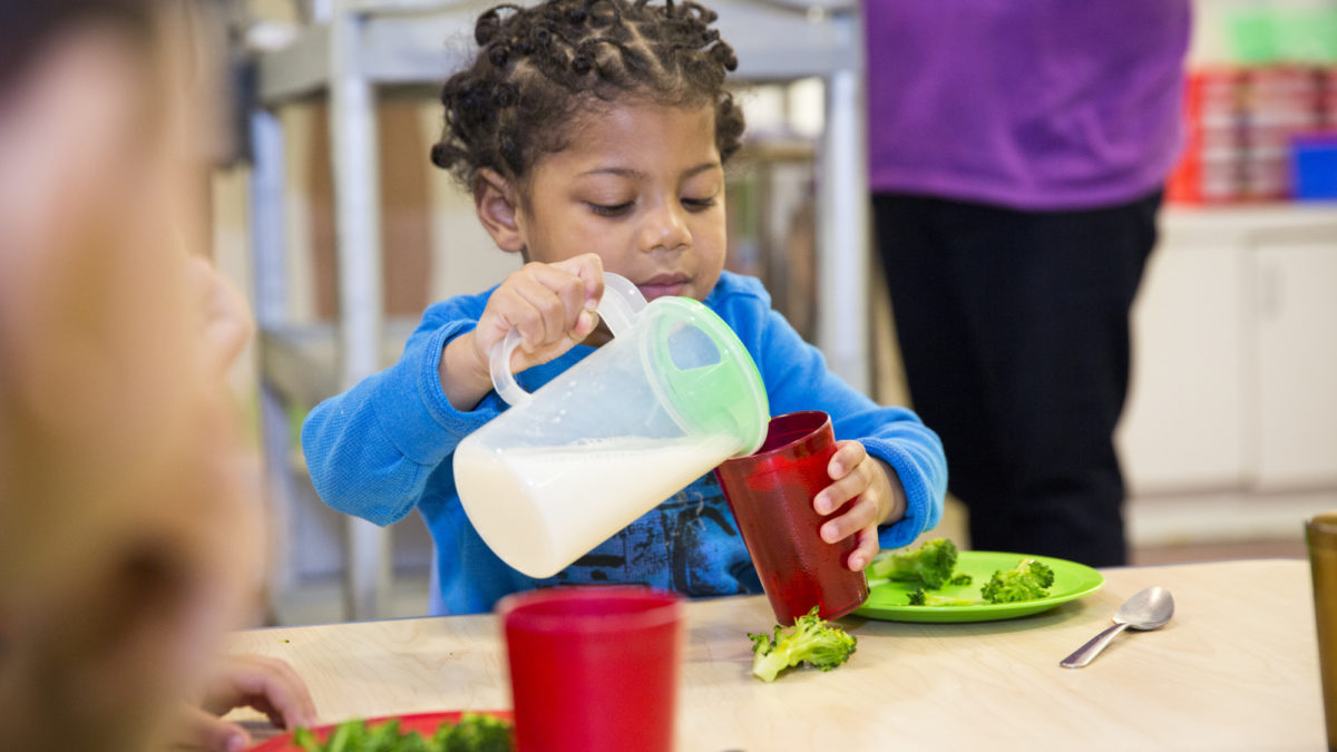 Feature Image for CentroNía featured in short film, "When Farmers Become Pharmacies" post