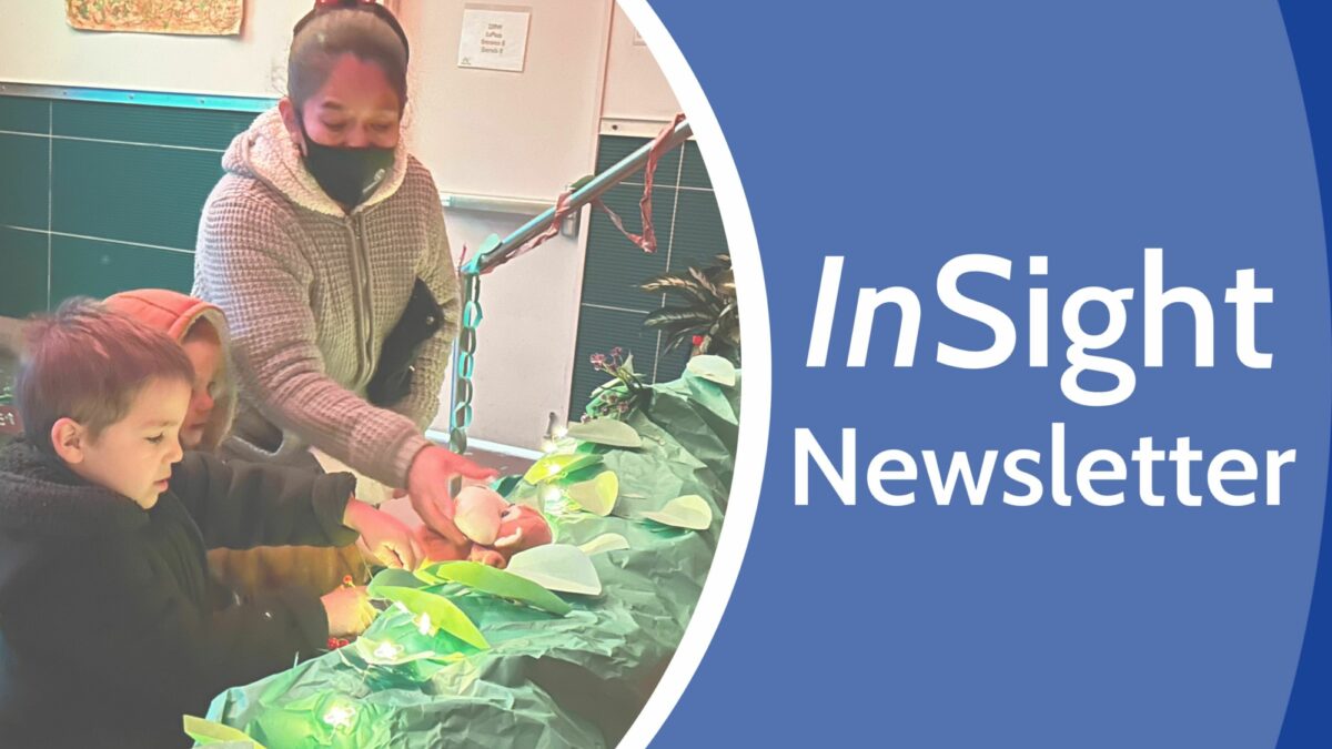 Feature Image for Fall InSight Supporter Newsletter post