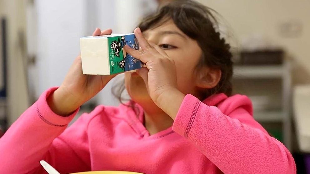 Feature Image for Hispanic Heritage and Healthy Habits post