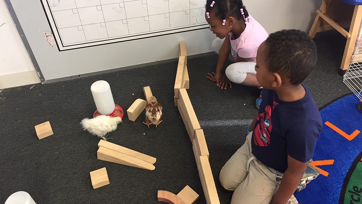 Feature Image for Nurturing the Future's Empathetic Scientists post